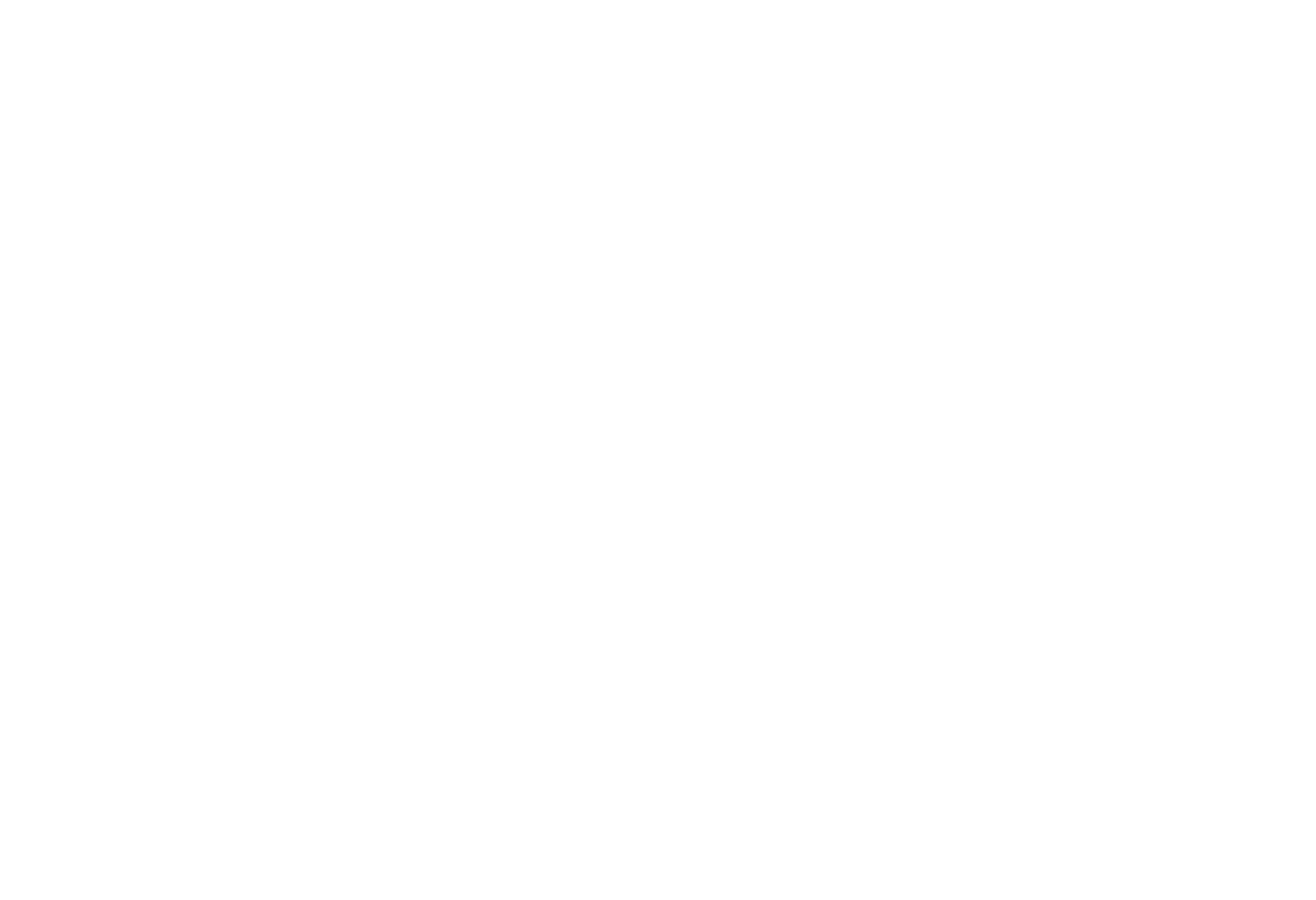 NO-PARADE-Werbeagentur-Karlsruhe-weiß